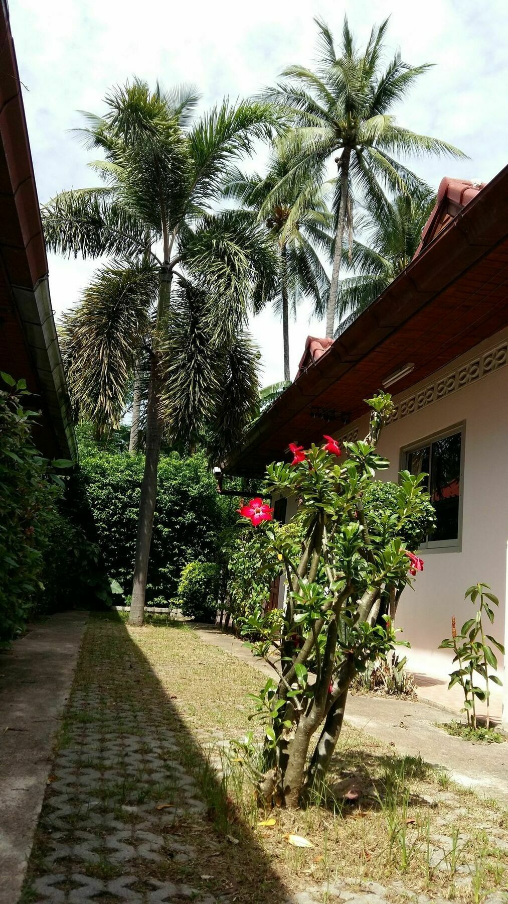 Saver Guesthouse Chaweng Beach Buitenkant foto