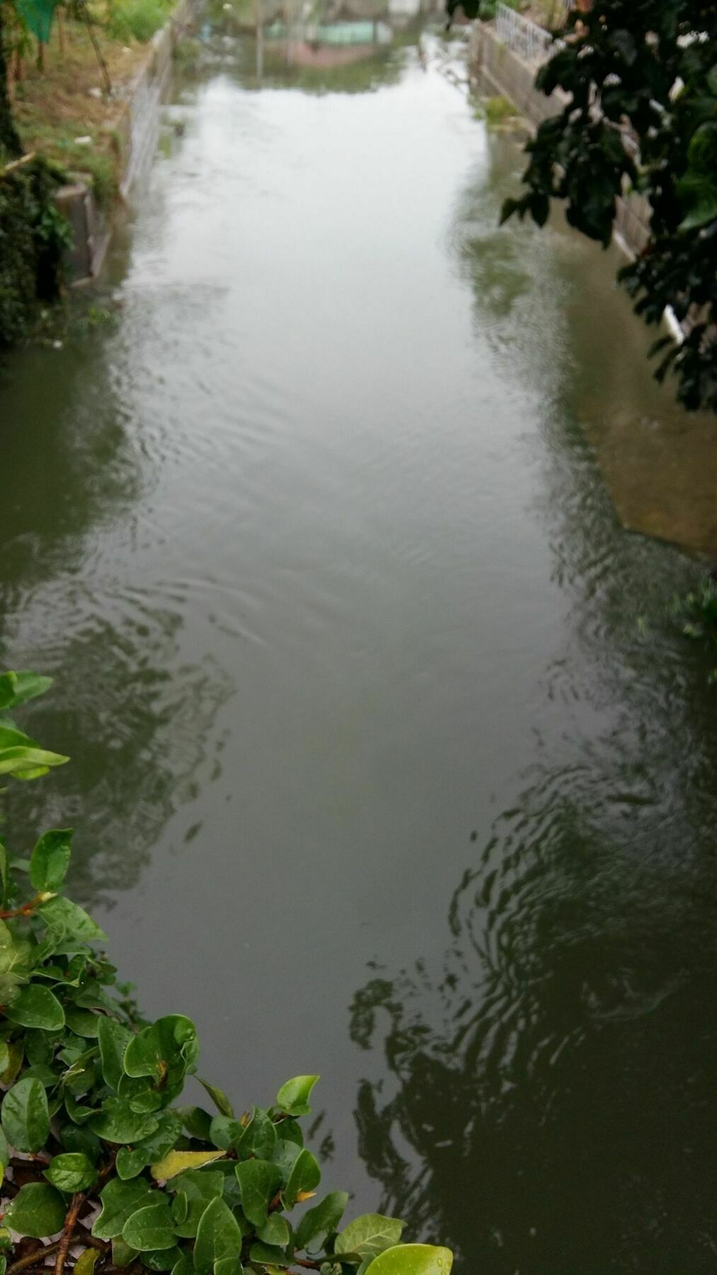 Saver Guesthouse Chaweng Beach Buitenkant foto